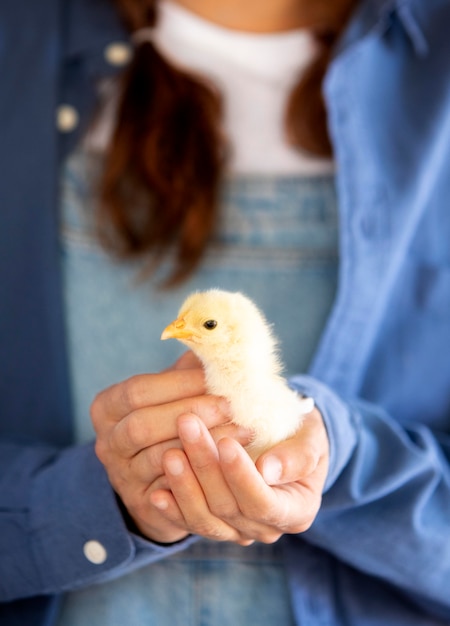 Free photo female farmer holding a baby chicken