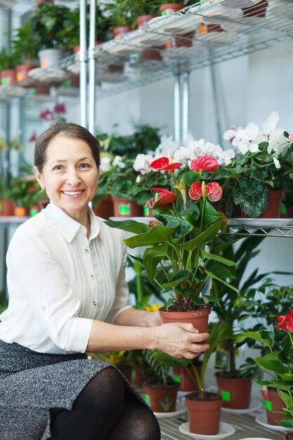 Female florist with anthurium plant