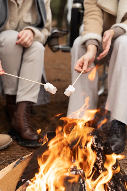 Free photo female friends roasting marshmallows using a bonfire