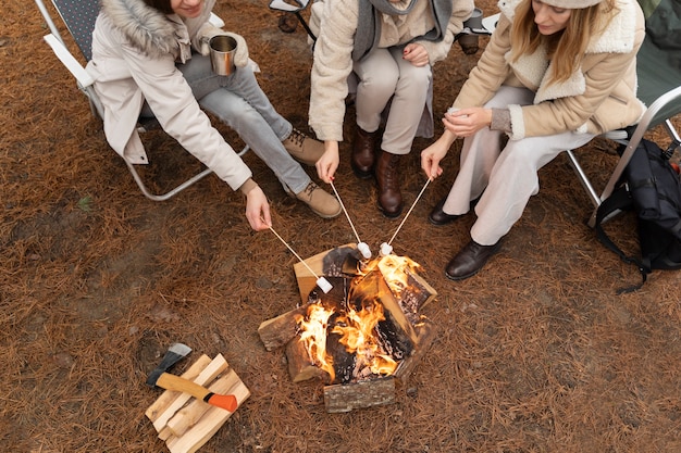 Free Photo female friends roasting marshmallows using a bonfire