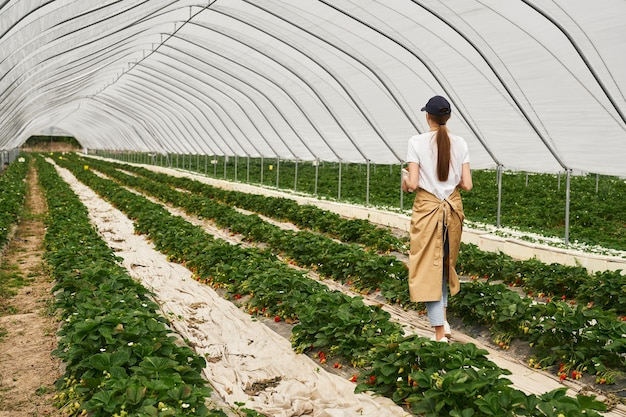 Free photo female gardener in apron walking at strawberries plantation