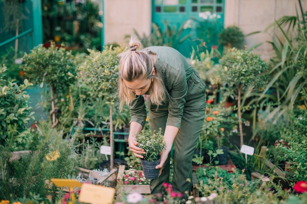 Free photo female gardener arranging the pot in plant nursery