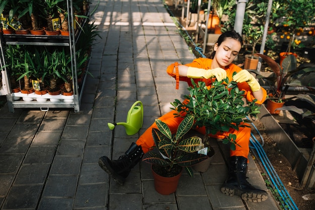 Free photo female gardener checking leaves of potted plant