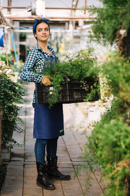 Female gardener holding crate with fresh plants in greenhouse