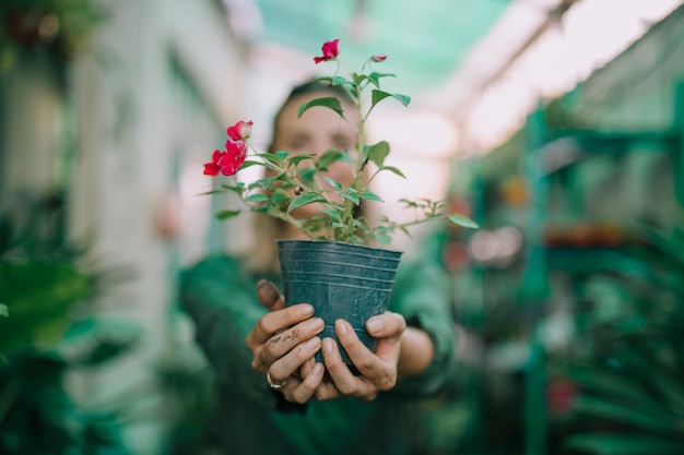 Free photo female gardener showing the flowering pot in plant nursery against blurred backdrop