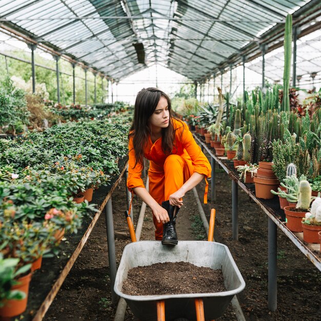 Female gardener wearing wellington boot in greenhouse