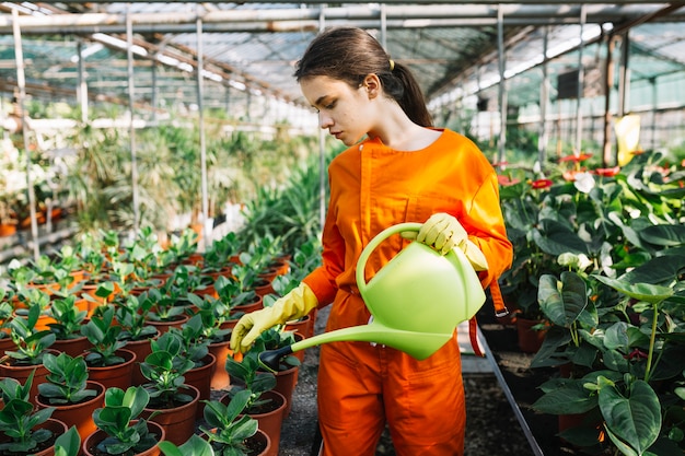 Female gardener with watering can examining plant in greenhouse