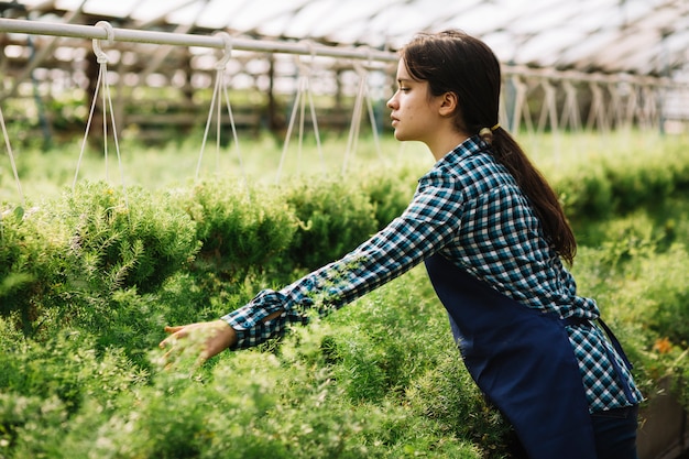 Free photo female gardener working in the greenhouse