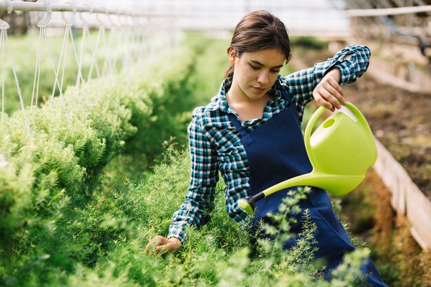 Female gardener working in the greenhouse