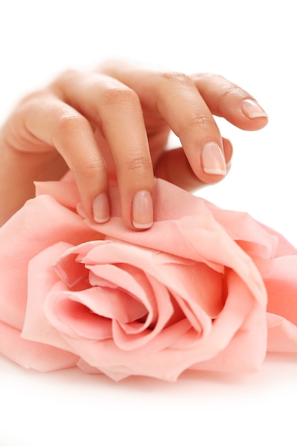 Free Photo female hands with pink rose. femininity concept