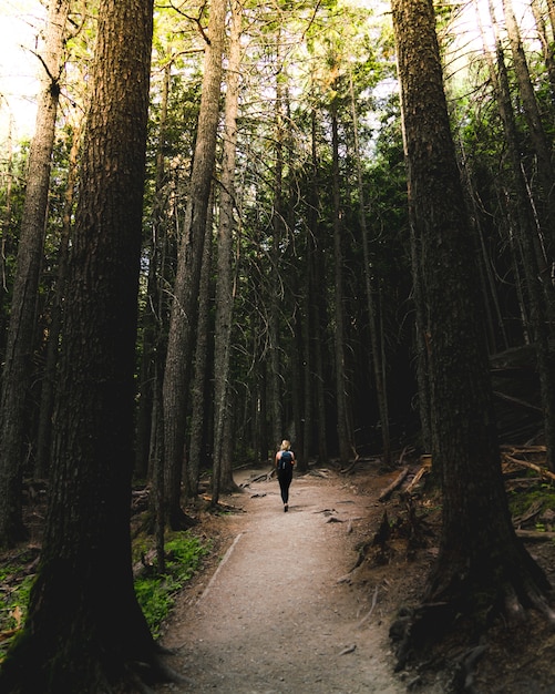 Free Photo female hiker in a backpack walking on a narrow road in the woods