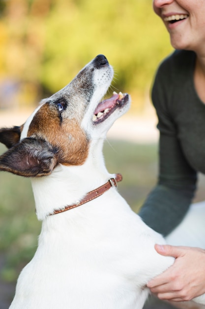 Female playing with dog in park