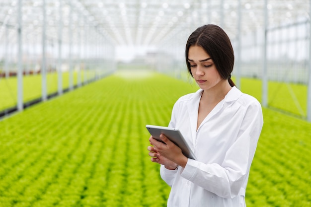 Female researcher holds a tablet studying plants in the greeenhouse