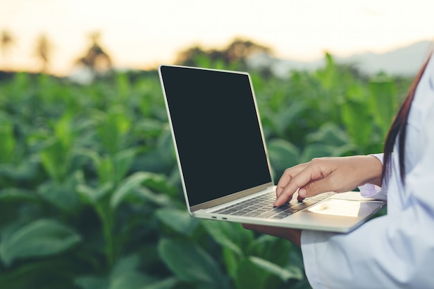 Free photo female researchers examined tobacco leaves