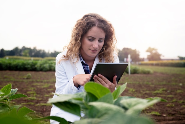 Free Photo female technologist agronomist with tablet computer in the field checking quality and growth of crops for agriculture