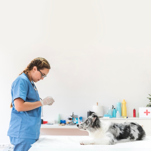 Free photo female veterinarian standing near the dog on table in clinic