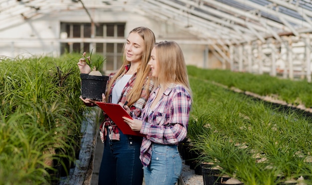 Free photo female workers taking care of plants