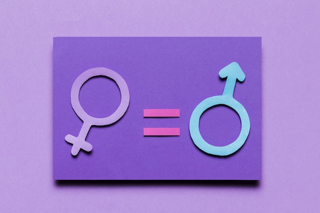 Free photo feminine and masculine gender signs equal power