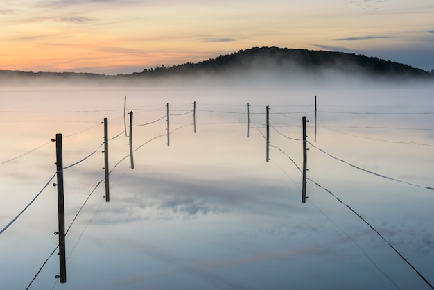 Free Photo fenced paddock on a foggy lake during sunset in radasjon, sweden