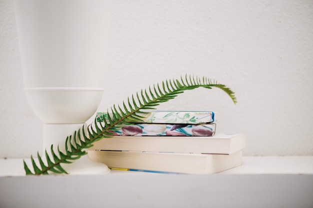 Free Photo fern leaf on pile of books