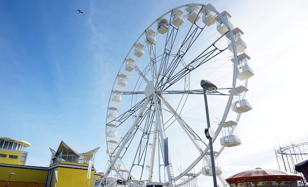 Free Photo ferris wheel at a theme park