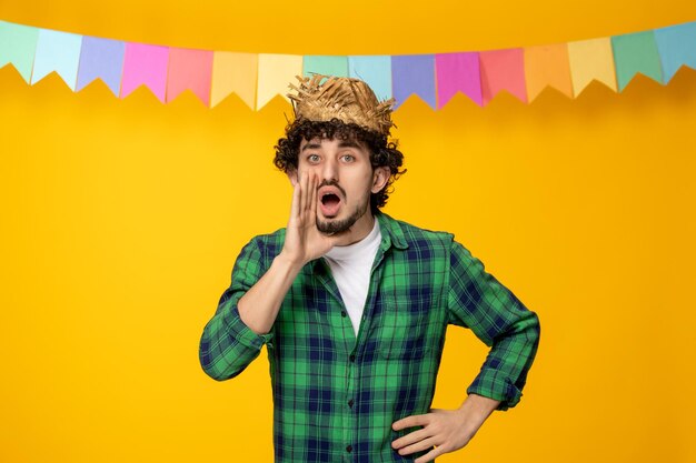 Festa junina young cute guy in straw hat and colorful flags brazilian festival calling someone