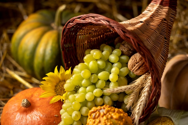 Festive cornucopia arrangement with delicious foods