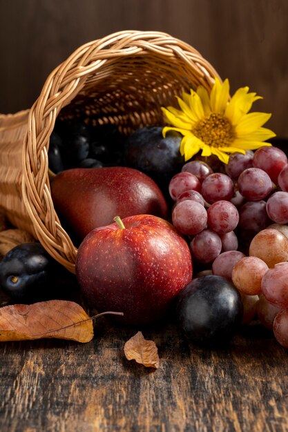 Festive cornucopia arrangement with delicious fruits