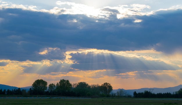 Field covered in greenery under a cloudy sky during a beautiful sunset in the evening