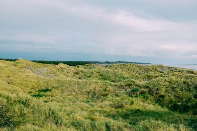 Free Photo field of green grass near the sea under the beautiful cloudy sky