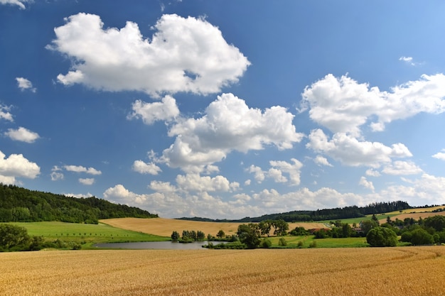 Free Photo field with clouds