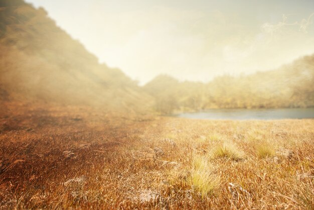 Field with the dramatic scene background