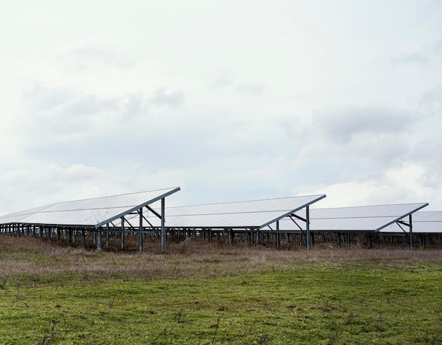 Free Photo field with lots of solar panels