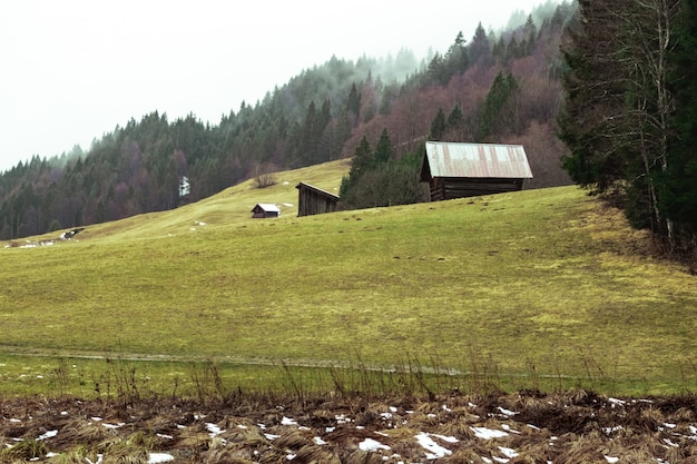 Free photo field with two wooden barns surrounded by forests covered in fog under the cloudy sky