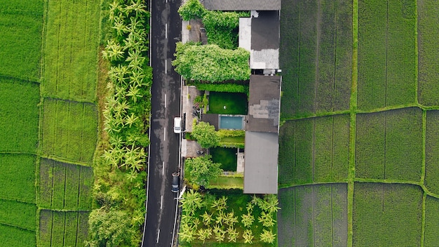 Free photo fields in bali are photographed from a drone