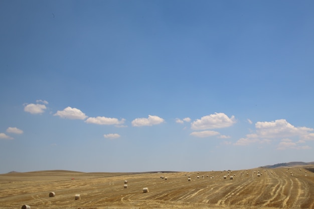 Free photo fields under a blue cloudy sky