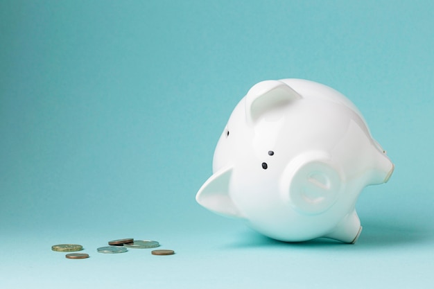 Finance elements with white piggy bank