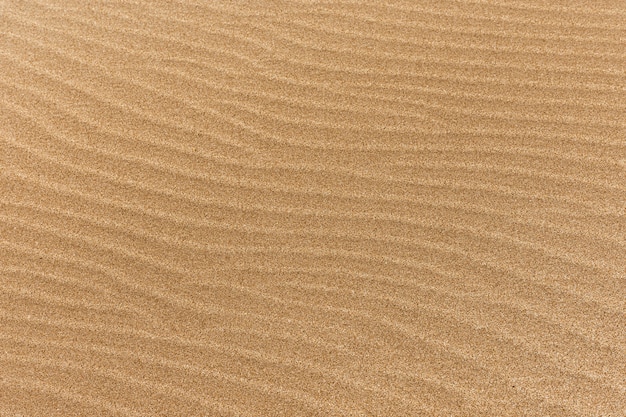 Free photo fine beach sand with waves