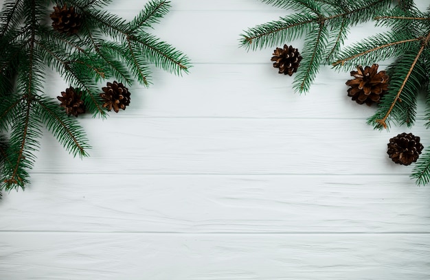 Free photo fir branches with snags