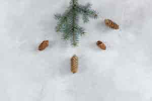 Free photo fir tree branch with cones on grey table