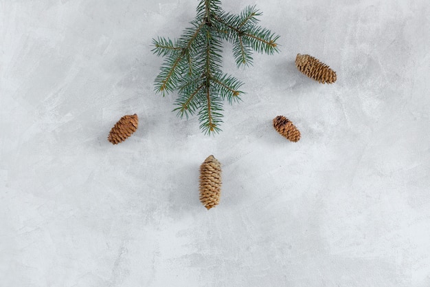 Free Photo fir tree branch with cones on grey table