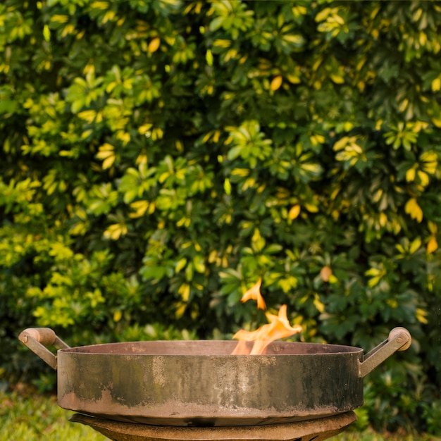 Free Photo fire in metal grill bowl on green yard