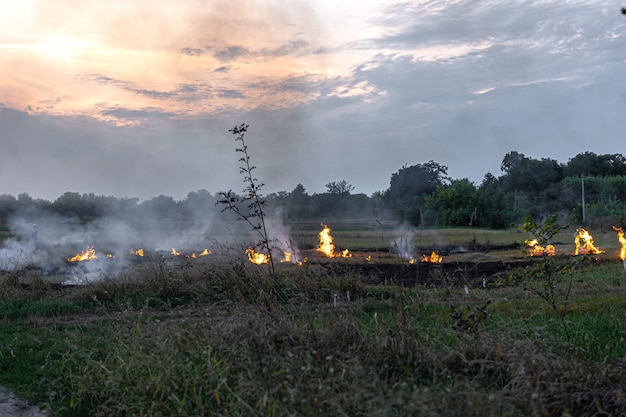 Fire in the steppe, the grass is burning destroying everything in its path.