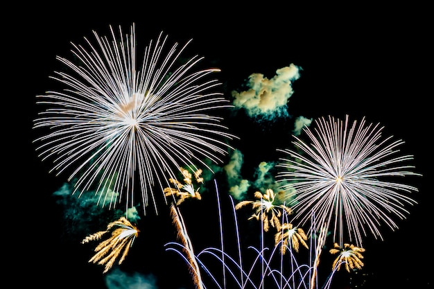 Firework on blank night sky, show for celebration