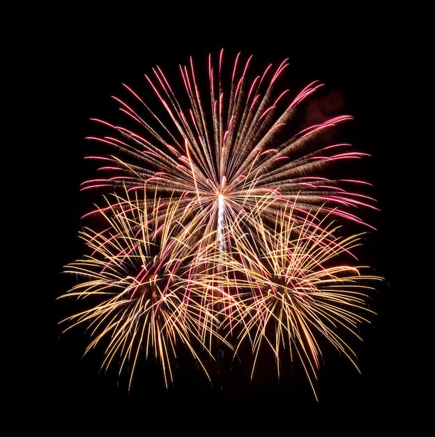 Free photo fireworks in the dark sky background