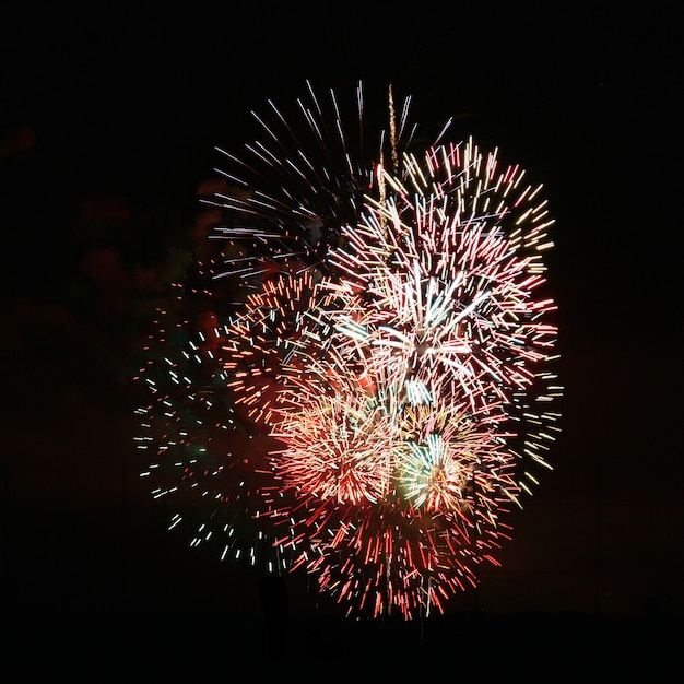 Free photo fireworks nice concentration of colors