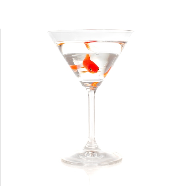 Fish in a glass