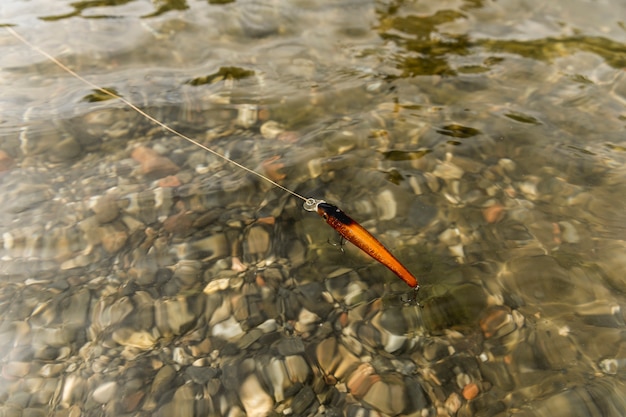 Free photo fish hook into the river