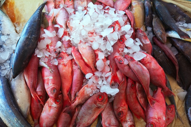 fish on market counter