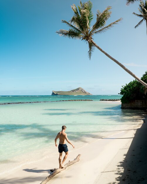 Fit shirtless male at the beach teeter-tottering on a wooden plank with amazing sky and palm trees